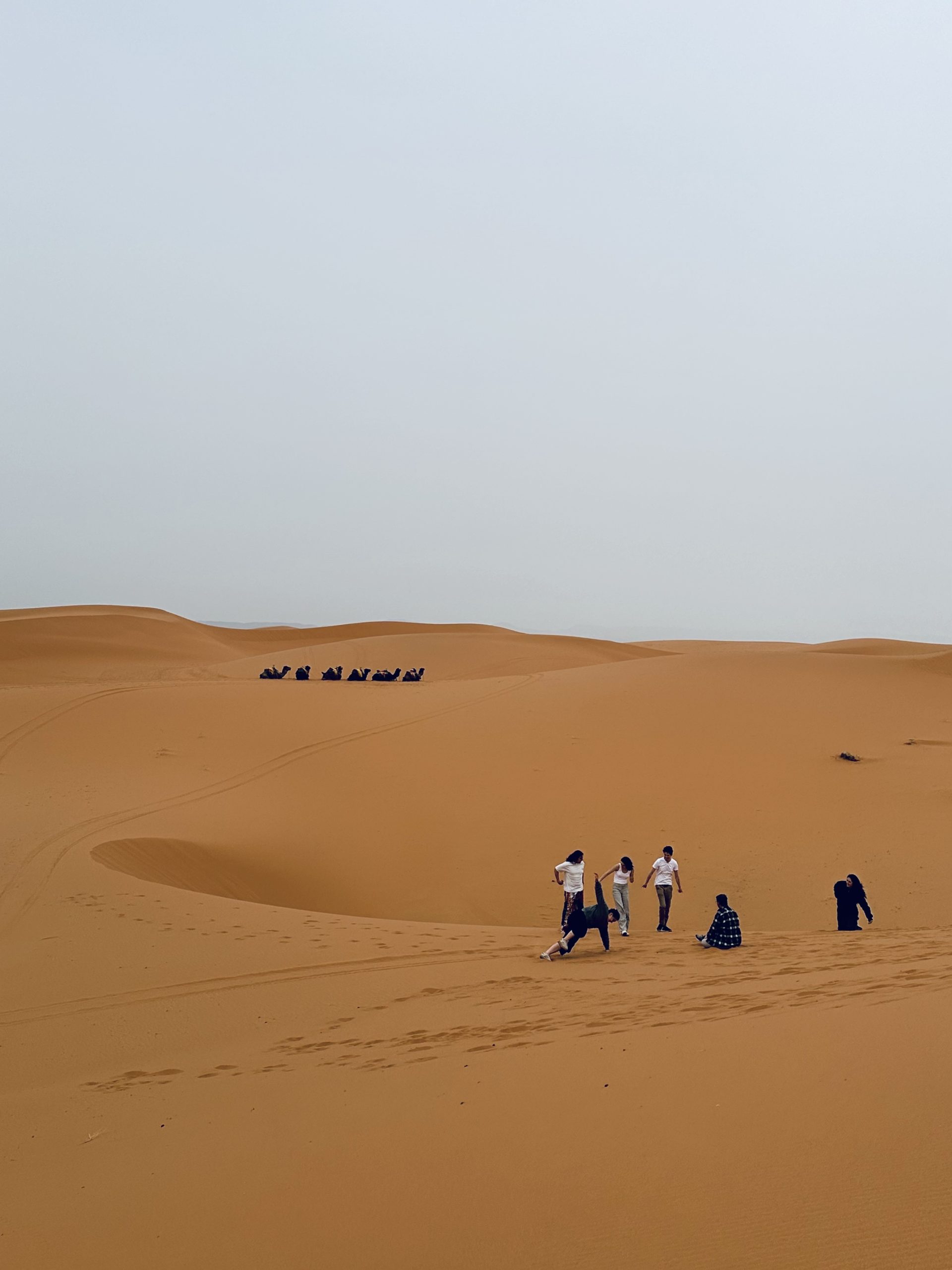 Sunrise party through the dunes