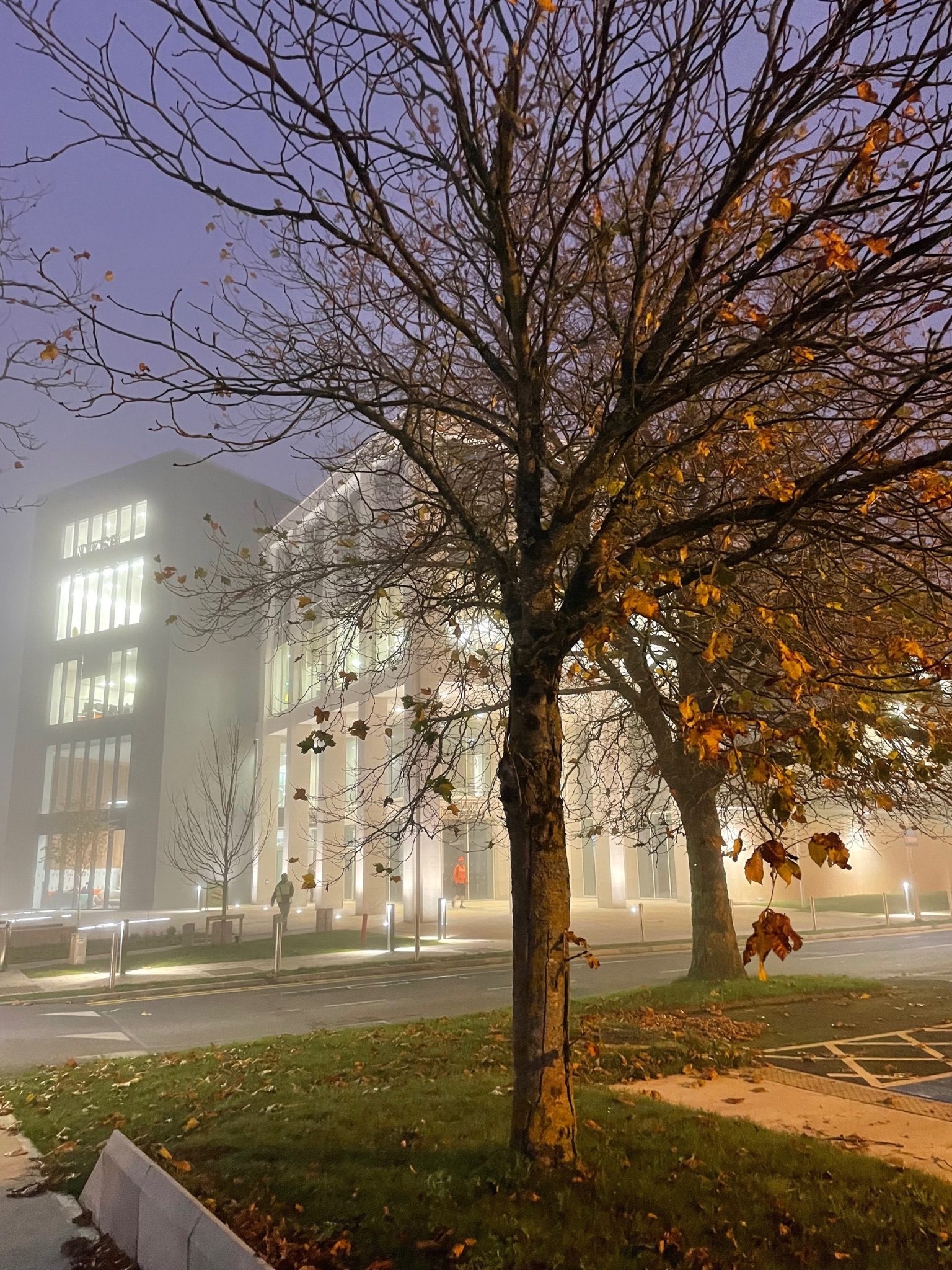 Autumn evenings on campus