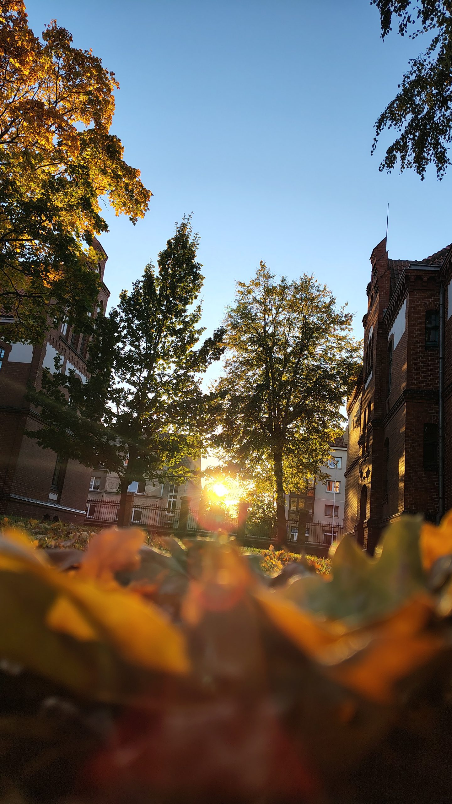 Klaipeda University