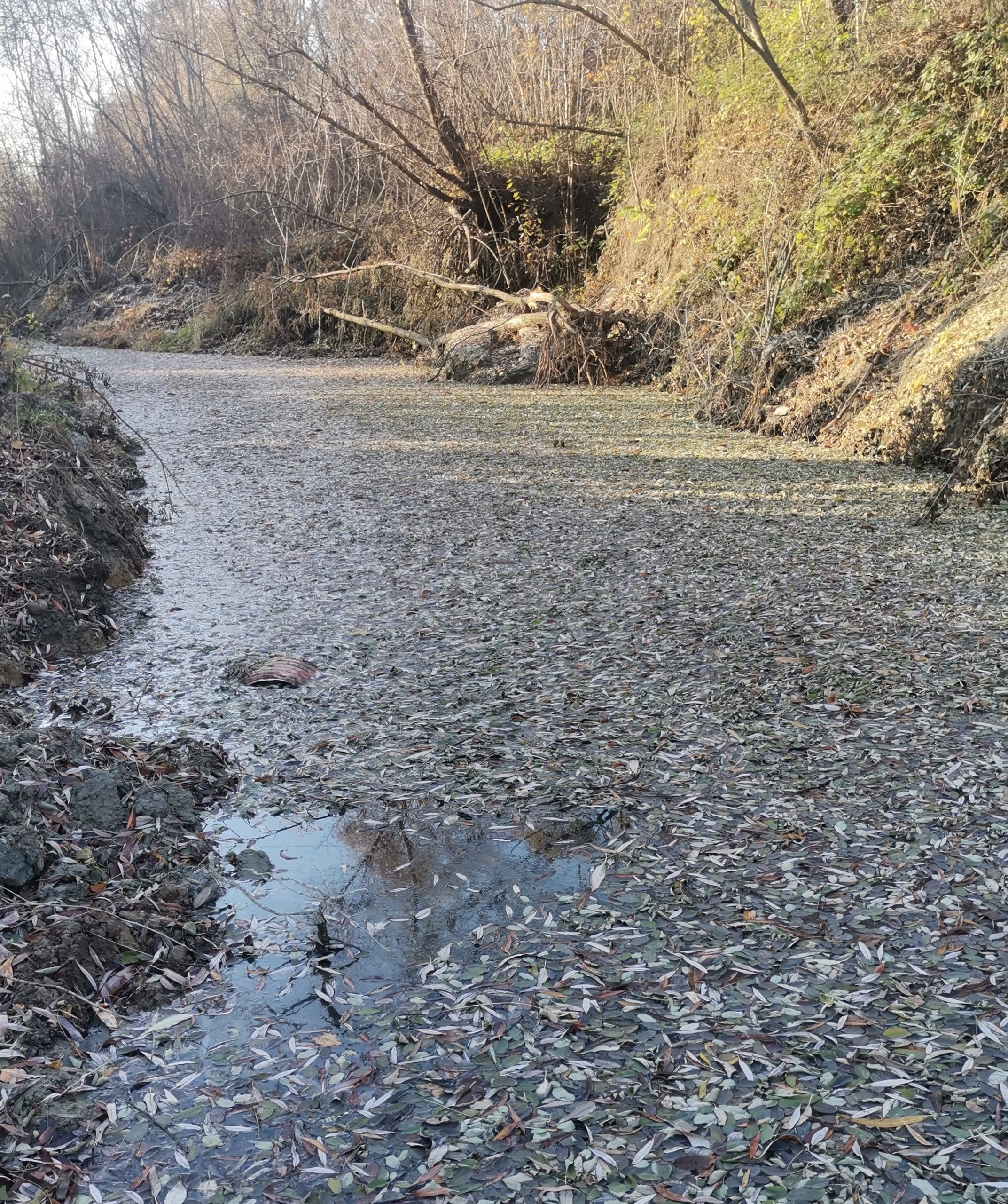 Clit River in Fall