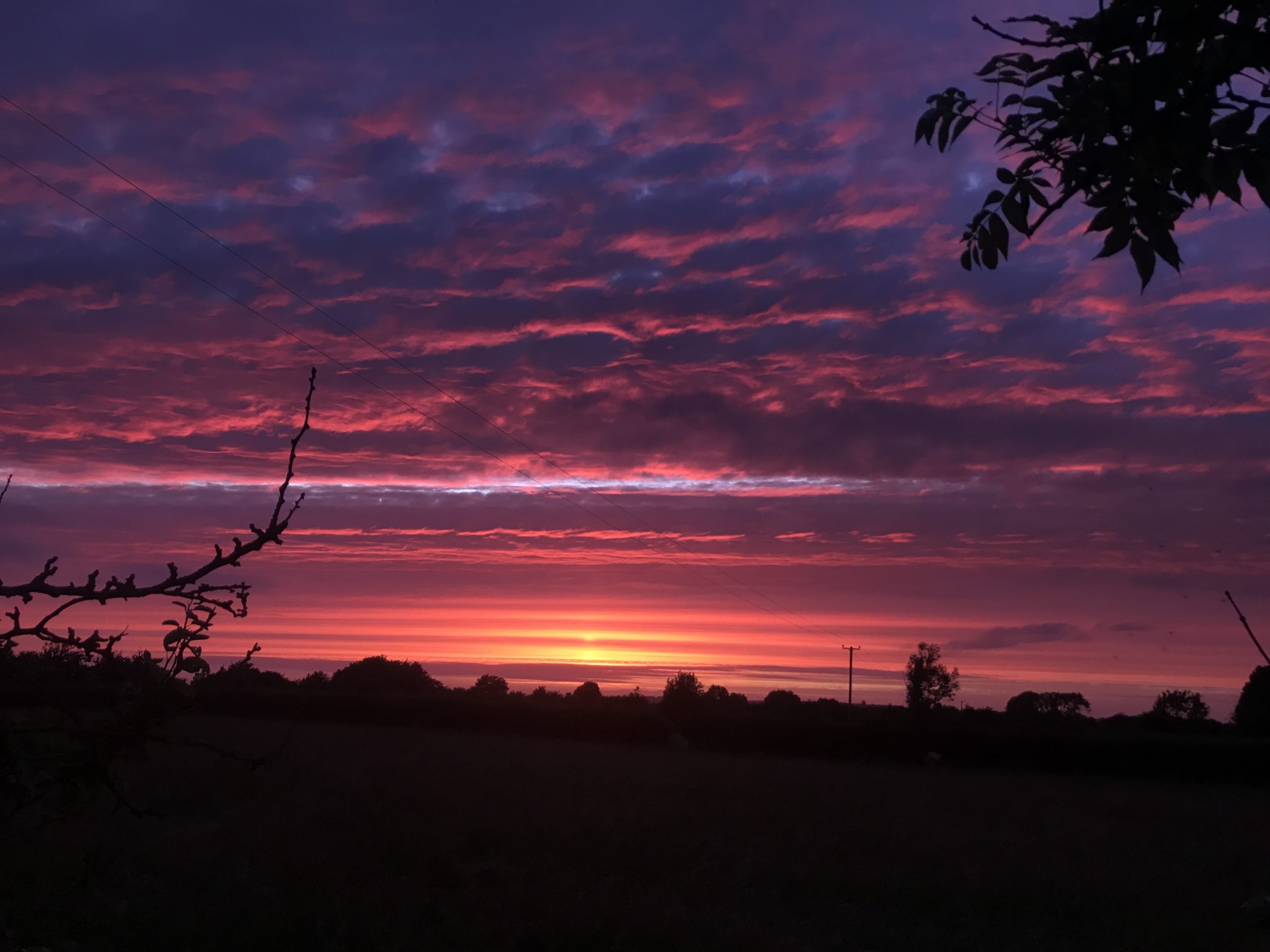 Purple sunset